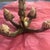 Nautical Cast Metal Anchor Sculpture Adorned With Natural Seashells For Sale - Image 4 of 10