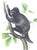 John James Audubon John James Audubon - Octavo Lithograph From Audubon's the Quadrupeds of North America - Circa 1849 and 1854 - Set of 22 For Sale - Image 4 of 18