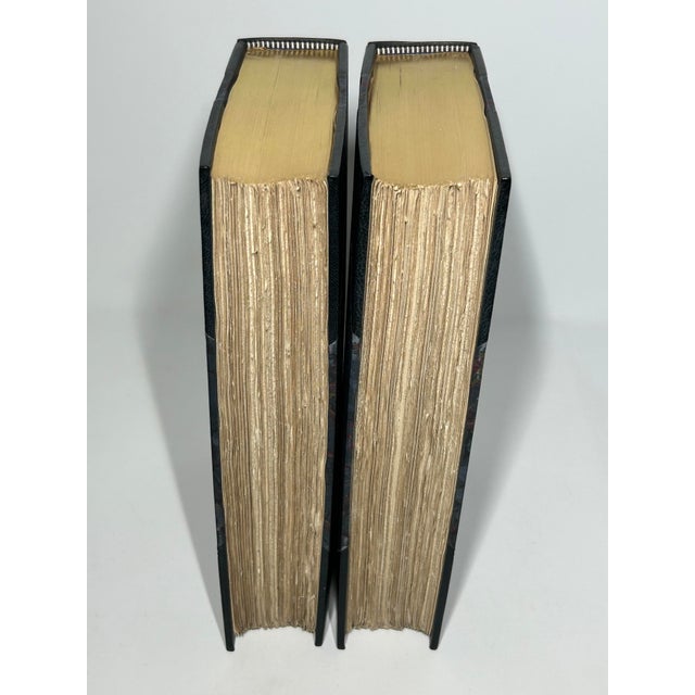 Early 20th Century Illustrated Leather Octavo Volume Set, Winston S. Churchill's Lord Randolph Churchill, First Uk Edition - 2 Books For Sale - Image 4 of 9
