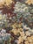 French Aubusson Style Jacquard Tapestry, 1950s For Sale - Image 16 of 18