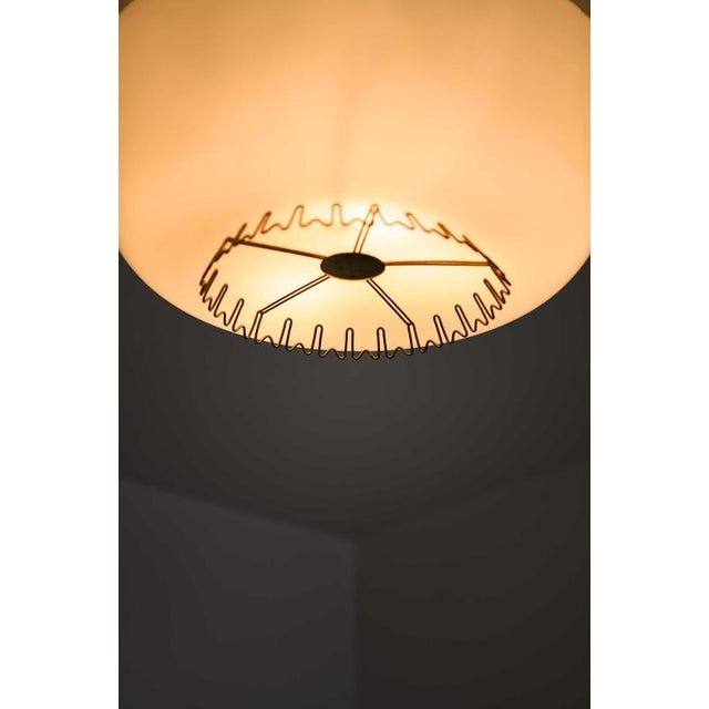 Flush Mounts in Brass attributed to Lisa Johansson-Pape, 1950s, Set of 2 For Sale - Image 9 of 11
