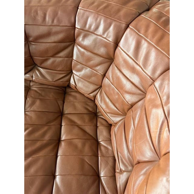 DS-11 Modular Leather Sofa from de Sede, Set of 5 For Sale - Image 17 of 18
