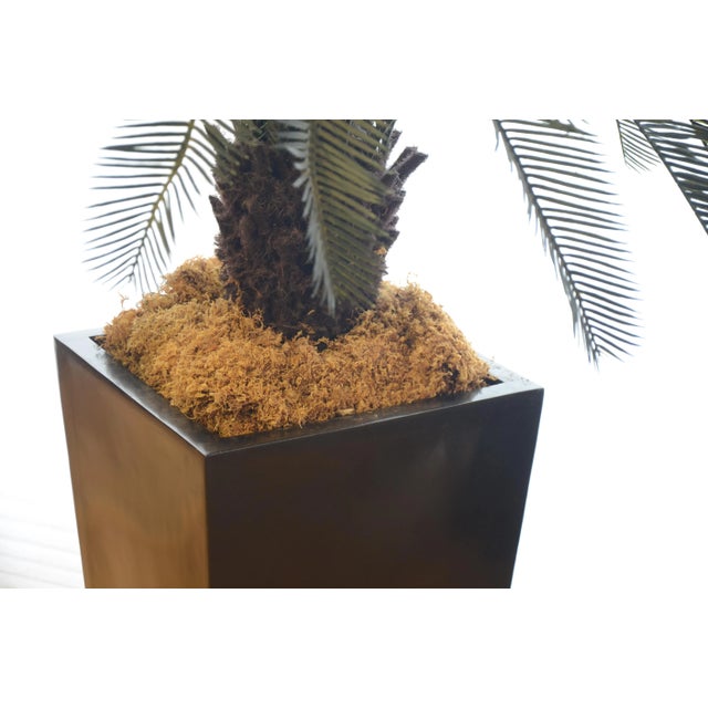Artificial Palm in Floor Planter For Sale - Image 4 of 5