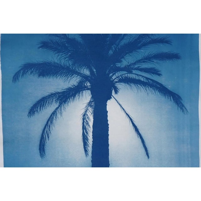 2020 Cairo Citadel Palm, Hand-Painted Cyanotype Print on Watercolor Paper For Sale - Image 4 of 12