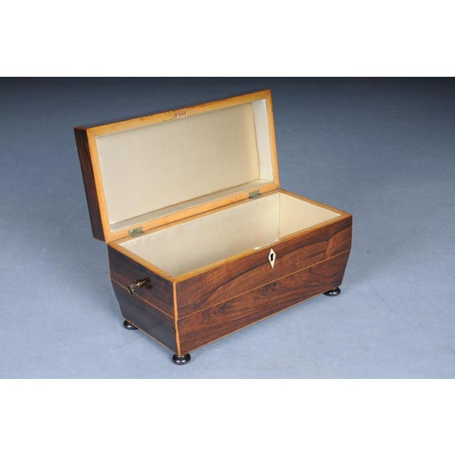 Antique English Regency Box, 1830s For Sale - Image 10 of 17