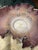 Victorian-era hand-blown art glass bride's bowl with a mauve or pink cased glass ruffled rim and hand-painted gold scrolls...