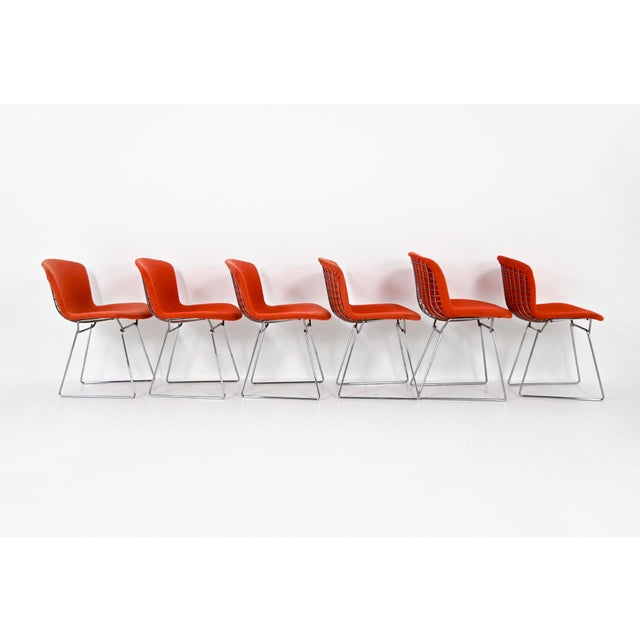 Dining Chairs by Harry Bertoia for Knoll, 1960s, Set of 6 For Sale - Image 6 of 13