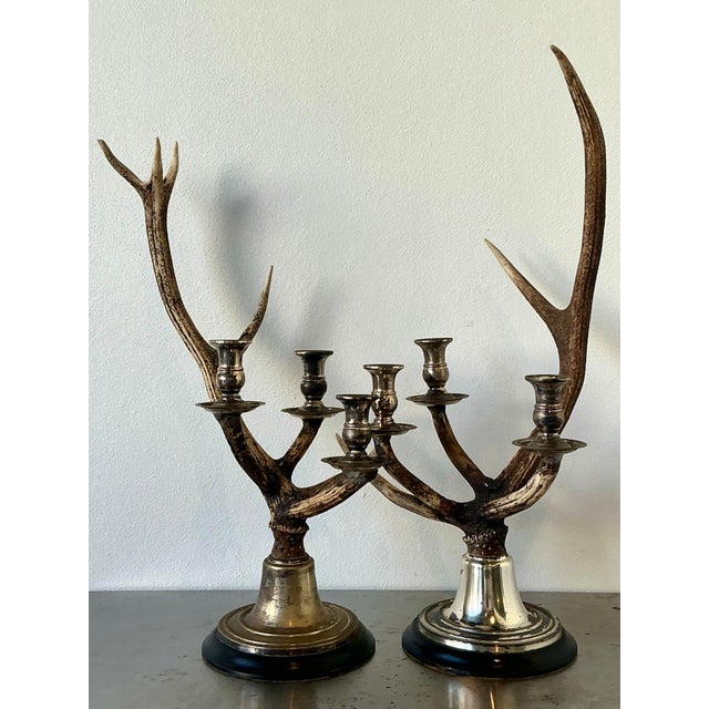 Vintage Natural Deer Antler Candlesticks - A Pair For Sale - Image 12 of 12