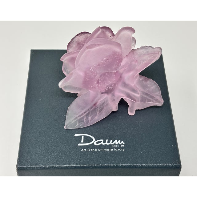 Daum France Rose Passion Pâte De Verre Crystal Rose Paperweight, 1990s For Sale - Image 10 of 15
