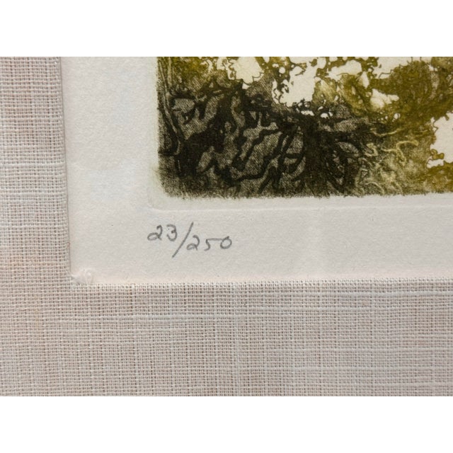Cream Elaine R. Simel “Wild Lace” Signed Limited Edition Etching 23/250 For Sale - Image 8 of 12