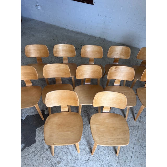Thonet Mid Century Modern Bentwood Chairs by Bruno Weil for Thonet - 12 Available For Sale - Image 4 of 7
