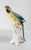 We are selling this 19th Century German porcelain Parrot or Macaw figure. This figure has the mark for Karl Ens and is...