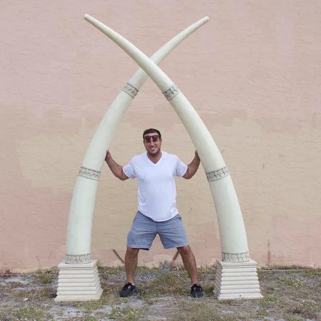 Ivory Monumental Midcentury Faux Elephant Tusks on Bases For Sale - Image 8 of 9