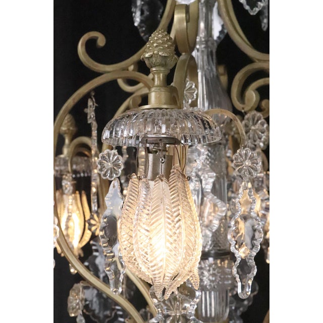 Antique Louis XV Crystal & Brass Chandelier For Sale - Image 9 of 12