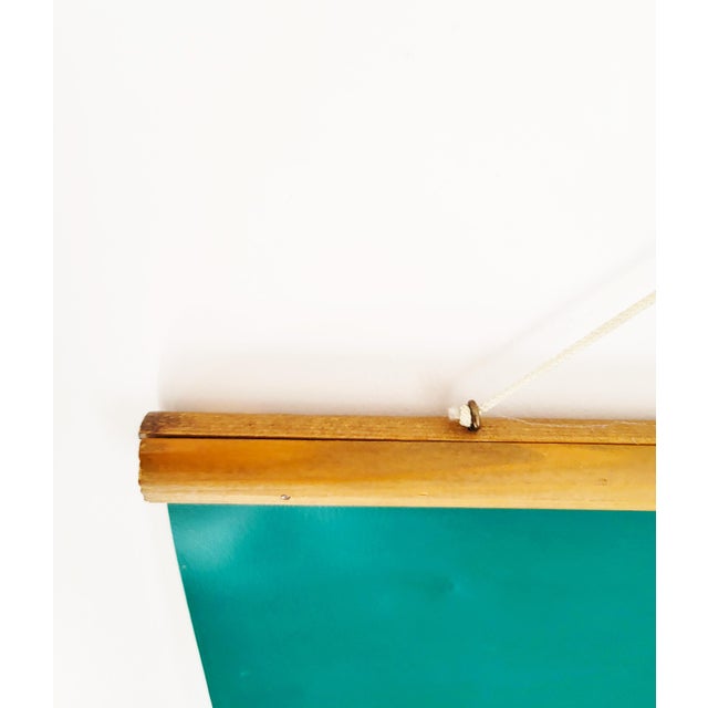 Brown Mid-Century Modern Children's Height Chart with Giraffe, 1960s For Sale - Image 8 of 11