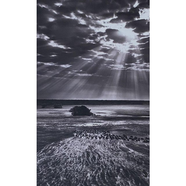 Contemporary Sebastião Salgado Hôtel De Ville II Official Exhibition Poster For Sale - Image 3 of 4