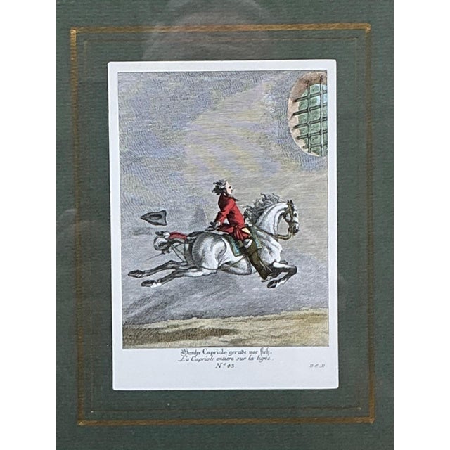 Vintage Equestrian Engravings in Gilt Frames - Set of 6 For Sale - Image 11 of 13