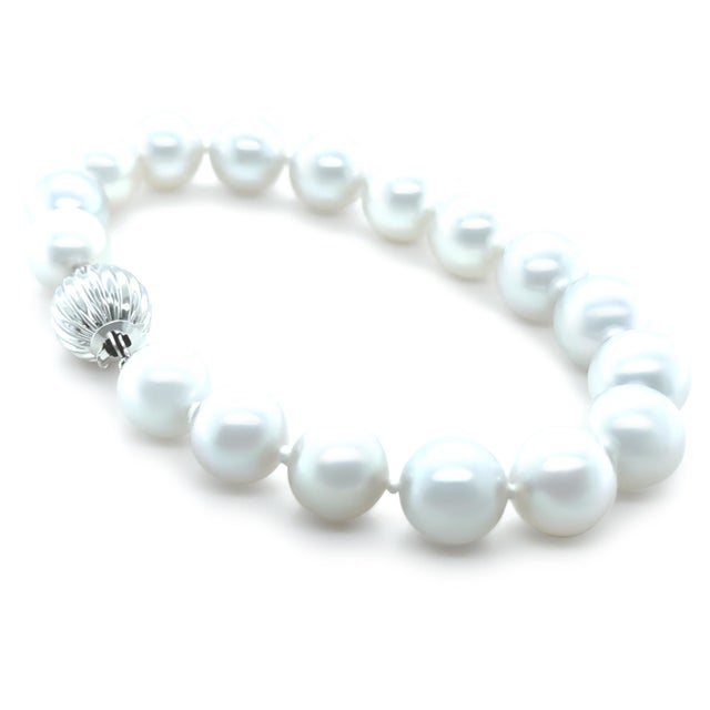 An elegant South Sea cultured pearl bracelet featuring beautifully matched silver pearls, hand knotted for both security...