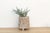 Rustic Vintage Hand-Hewn Whitewashed Mortar Planter For Sale - Image 3 of 10