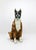 An eye-catching and ornamental vintage life-size figurine of a boxer dog, standing 34 inches tall. This handcrafted and...