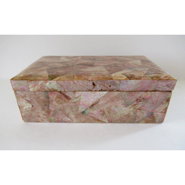 C.1980s Karl Springer Attr. Pen Shell Organic Box For Sale - Image 13 of 13