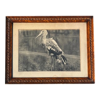 Early 20th Century Antique Framed Art Sketch Pencil of Water Stork or Crane Bird Coastal Style For Sale