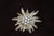 Metal Edelweiss Flower Brooch, 1990s For Sale - Image 7 of 7