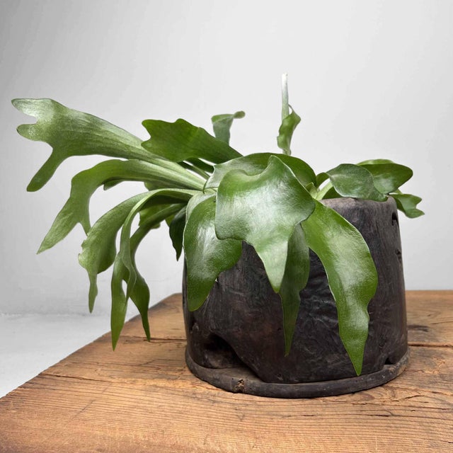 Beautiful Japanese wooden hibachi from the late Edo period. Dimensions: height 25 cm, diameter 34 cm. This antique 'fire...