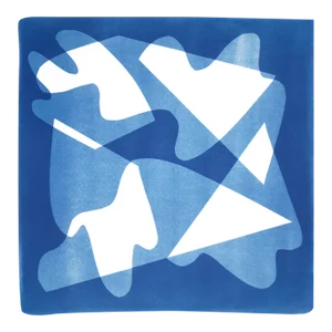 2022 "Blurry Mirrors" Abstract Shapes Cyanotype Print by Kind of Cyan
