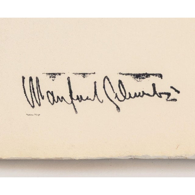 American Manfred Schwartz Still Life of Seashells Charcoal For Sale - Image 3 of 4