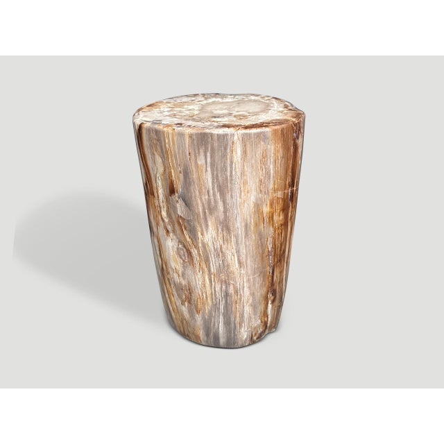 Contemporary Andrianna Shamaris Coral Toned High Quality Petrified Wood Side Table For Sale - Image 3 of 6