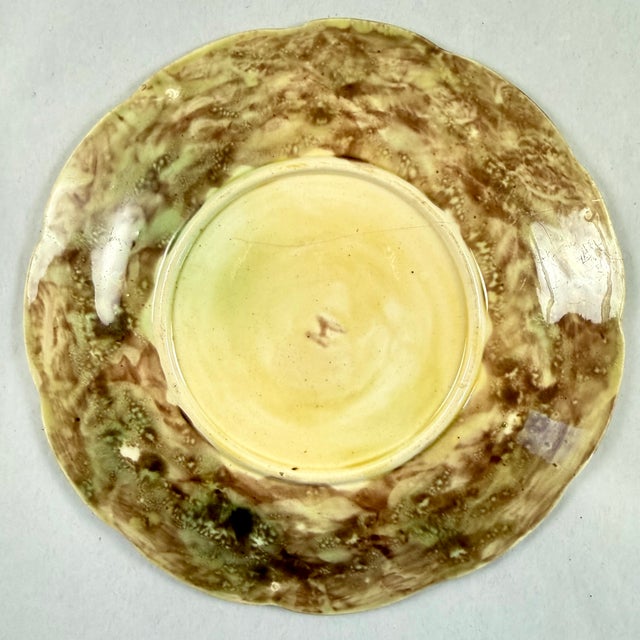 English Majolica Rustic Leaves on Bark Plates, Set of Two For Sale - Image 16 of 16