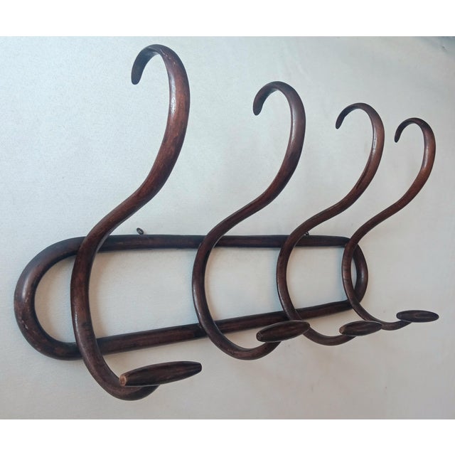 Vintage Wall Coat Rack in Bentwood, 1950s For Sale - Image 6 of 6