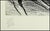 Leroy Neiman 1980s Daily Double, LeRoy Neiman For Sale - Image 4 of 5