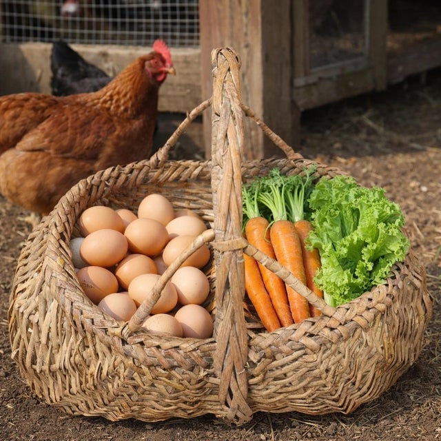 A beautiful example of early craftsmanship, this large classic buttock basket is hand‑woven with steam‑bent ribs and a...