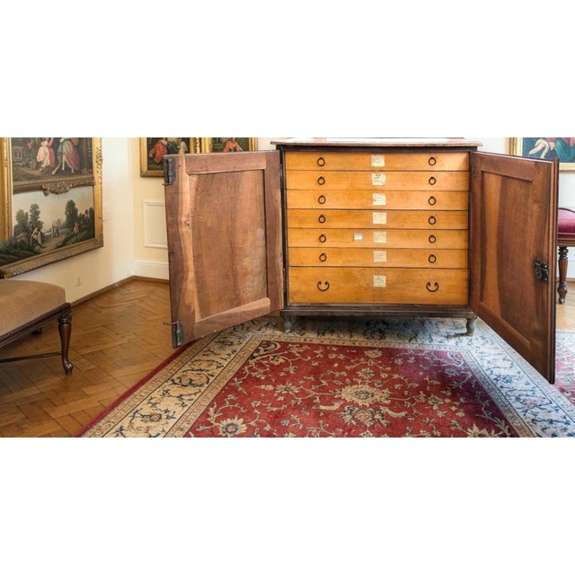 Antique Walnut Sideboard with Drawers, Italy, 1830s For Sale - Image 4 of 8