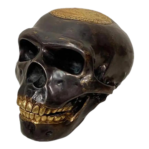 Contemporary Tibetan Bronze Skull Sculpture