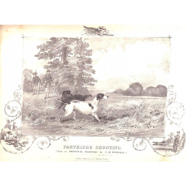 "The Book of Field Sports and Library of Veterinary Knowledge: Volumes I & Ii" 1870 Miles, Henry Downes [Edited By] For Sale - Image 10 of 18