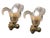 Venetian Murano Glass Sconces, 1960s, Set of 2 For Sale - Image 4 of 16