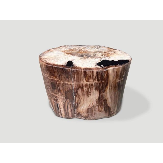 Striking earth tones on this high quality petrified wood side table. It’s fascinating how Mother Nature produces these...