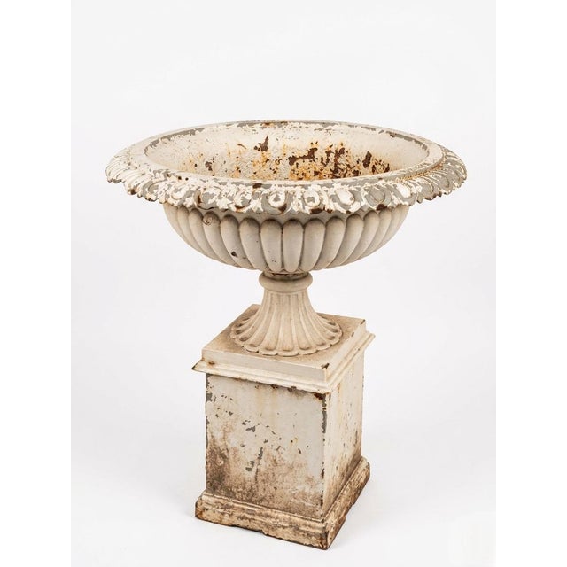 Pair of 19th Century Victorian White Painted Cast Iron Garden Urns on Pedestals For Sale - Image 4 of 12