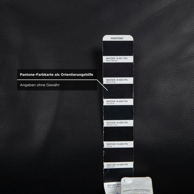 Black DS 450 2-Seater Sofa in Leather from de Sede For Sale - Image 8 of 12