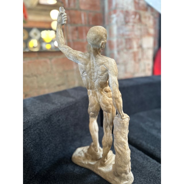 Anatomical Skeletal Cast, Italy 80s For Sale - Image 4 of 12