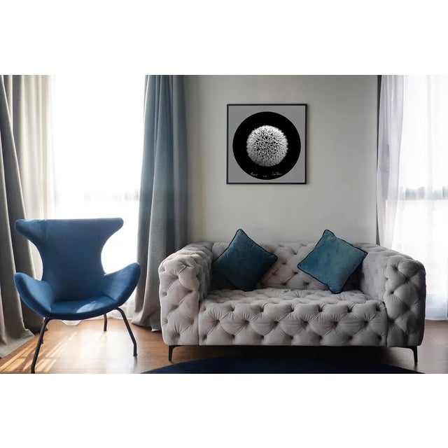 Contemporary Sam Thomas, Flower 1, 2009, Pigment Print For Sale - Image 3 of 6