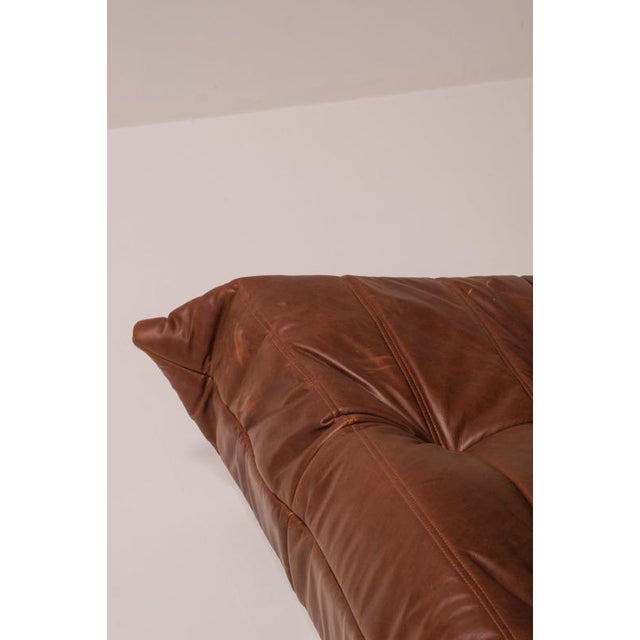 Animal Skin Togo Three-Seater Sofa in Cognac Leather by Michel Ducaroy for Ligne Roset, France For Sale - Image 7 of 15