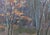 Impressionism Forest Oil Painting, Ukrainian Artist Sokolovsky, 1970s 35-50 For Sale - Image 4 of 6