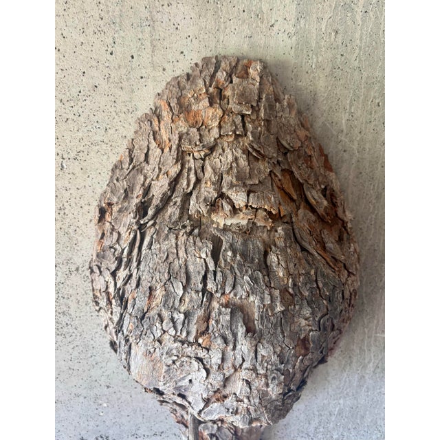 Vintage Mid-Century American Folk Art Bird Nest Tree Bark Wall Sculpture For Sale In Miami - Image 6 of 7