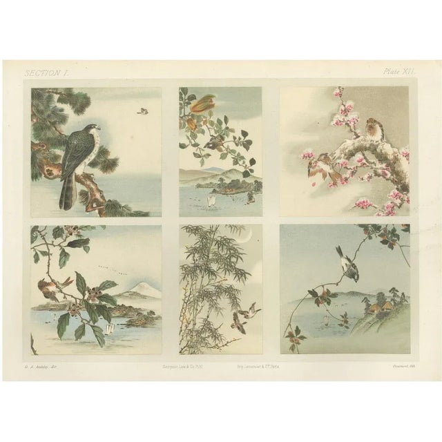 Six Panels of Natures Harmony, 1882, Paper For Sale - Image 10 of 10