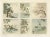 Six Panels of Natures Harmony, 1882, Paper For Sale - Image 10 of 10