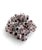 Natural Barnacles Cluster For Sale - Image 4 of 8